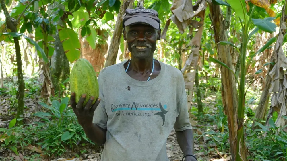 Producteur de cacao bio et équitable coopérative Feccano en Haïti