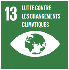 ODD 13 Actie om klimaatverandering tegen te gaan