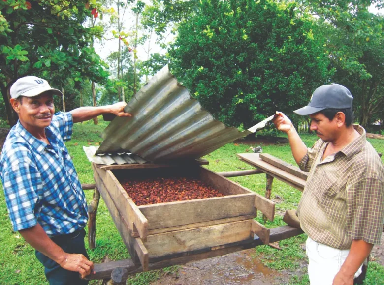 transformation du cacao Nicaragua