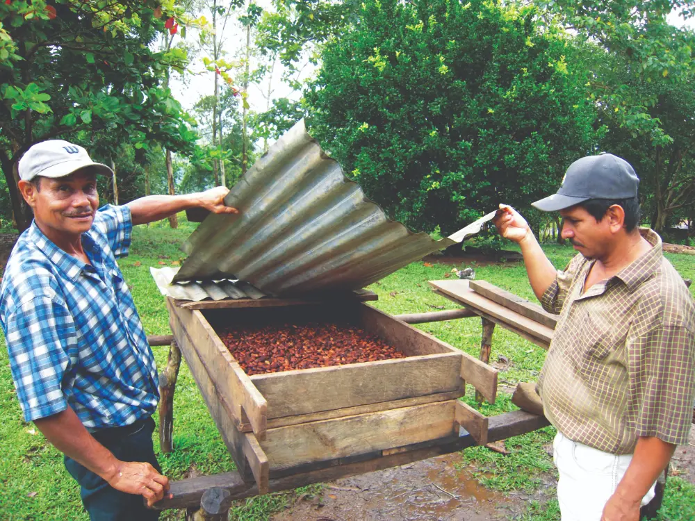 transformation du cacao Nicaragua