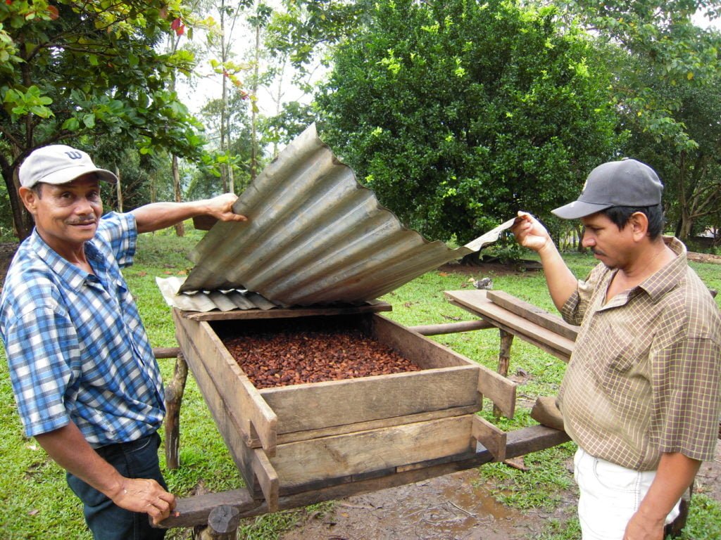 Verwerking van de cacao in Nicaragua