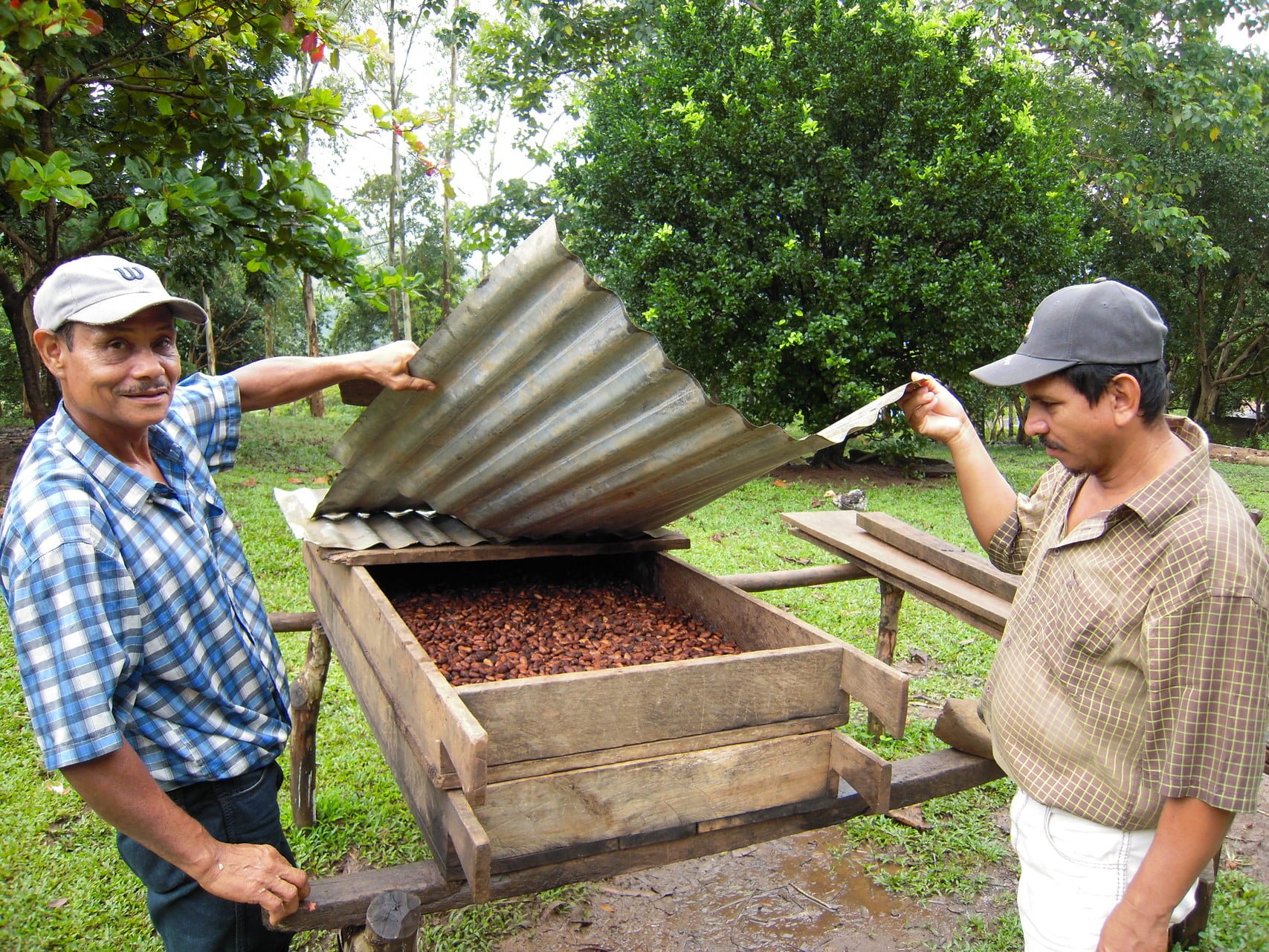 transformation du cacao Nicaragua