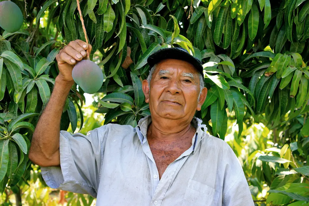 Producteur de la coopérative APROMALPI au Pérou