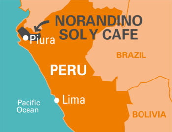 NORANDINO SOL Y CAFE