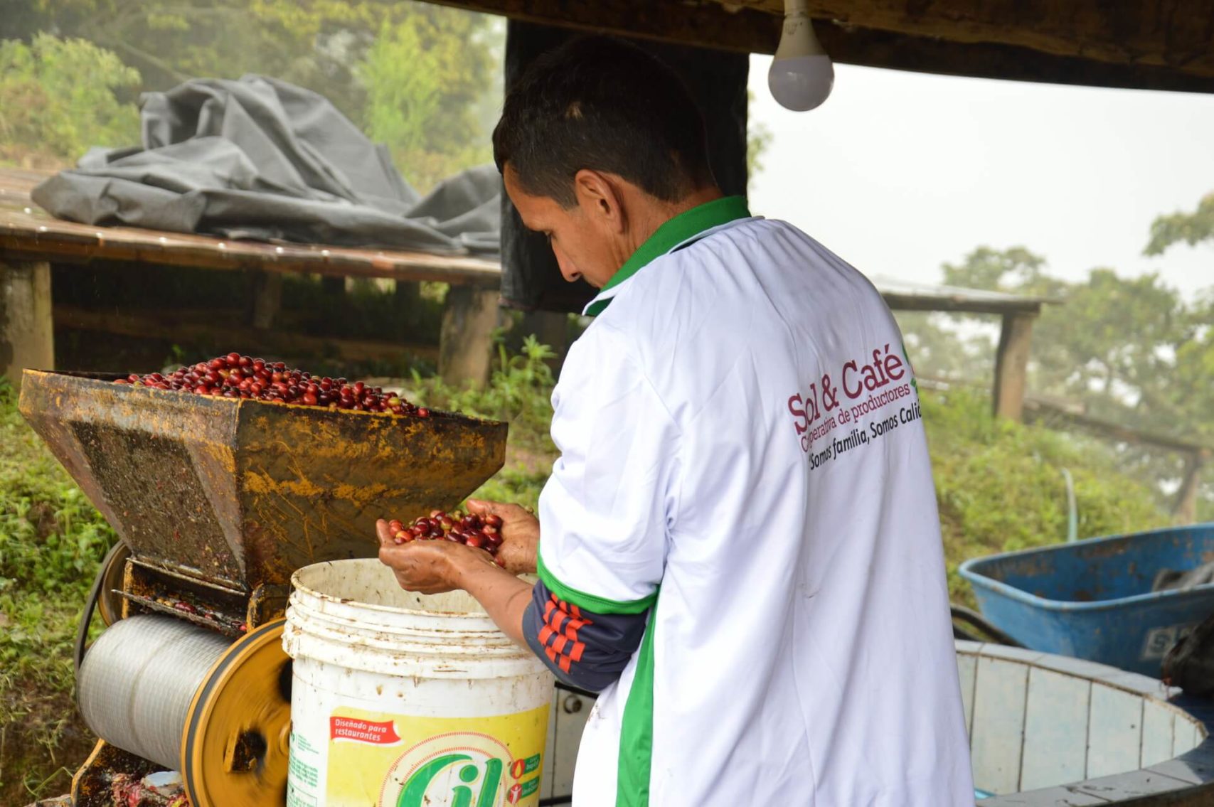 cafe-moulu-perou-100-arabica-haute-altitude-terroir-piemont
