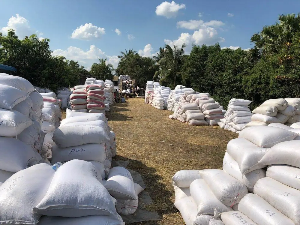 Sacs de riz bio et équitables prêts pour l'exportation