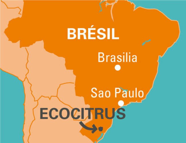 Ecocitrus coopérative au Brésil