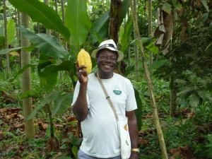 Producteur de la coopérative FONMSOEAM en Equateur