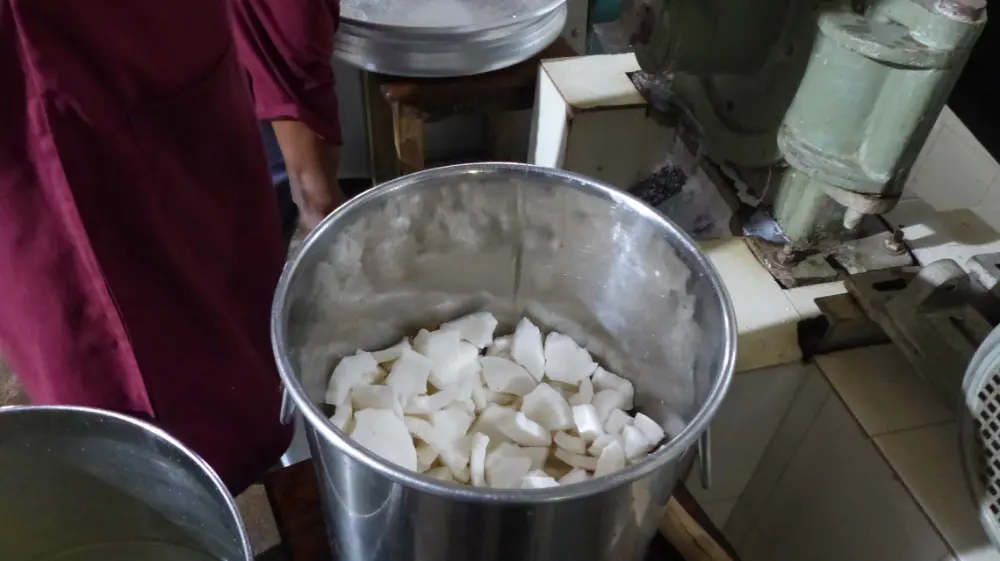 Extraction de la pulpe fraîche pour obtenir du lait de coco bio