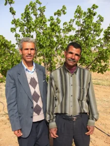Producteurs d'olives de la coopérative SMSA en Tunisie