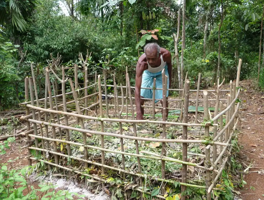 Développement de pépinières communautaires au Sri Lanka