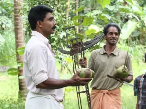 Producteurs de poivre noir. Coopérative FTAK en Inde