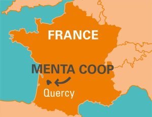 menta coop - quercy coopérative menthe poivrée