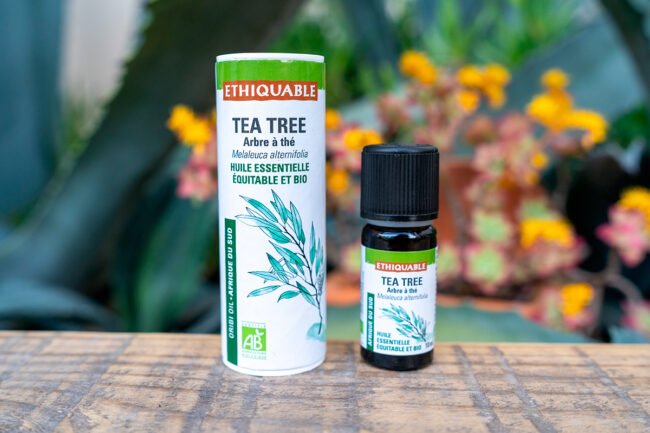 huile essentielle tea tree bio naturelle