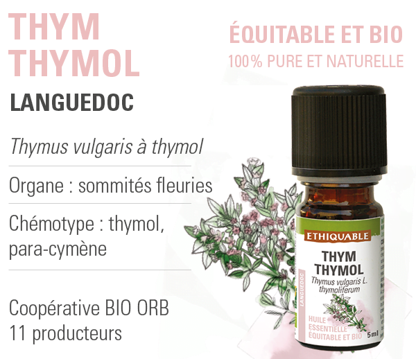 Précautions et utilisations de l'huile essentielle de thym thymol bio équitable