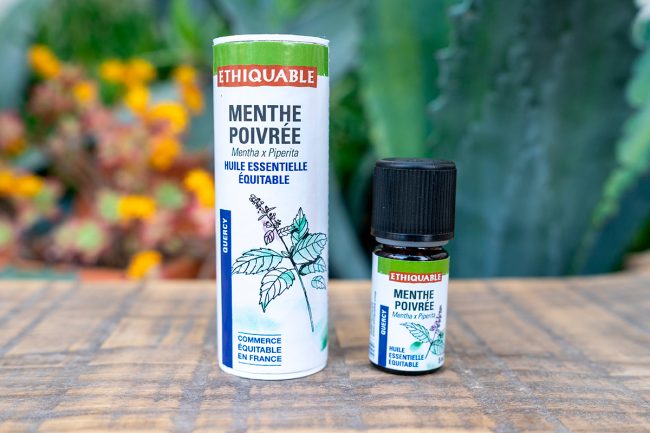 Dayang HE Menthe poivrée 2x10 ml - Redcare Pharmacie