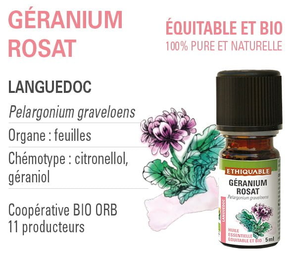 huile essentielle géranium rosat