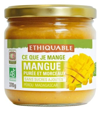 Purée Mangue (morceaux)