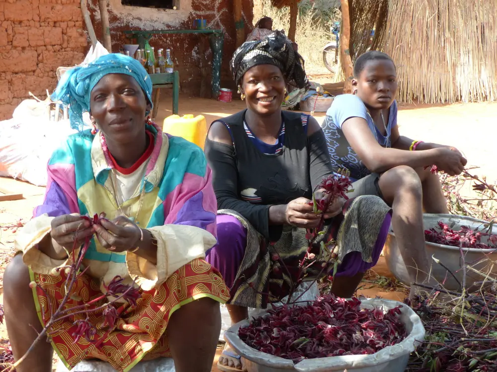 Cultivatrices de cajou de la coopérative Coopake au Burkina Faso