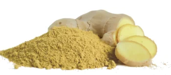 gingembre frais et en poudre